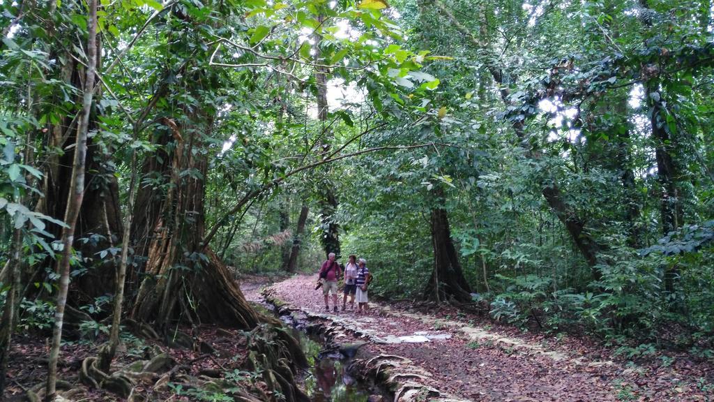 Lirio Lodge Barra de Pacuare Kültér fotó