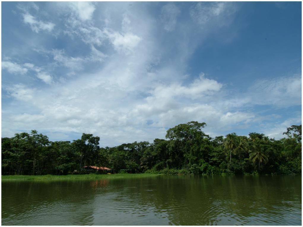 Lirio Lodge Barra de Pacuare Kültér fotó
