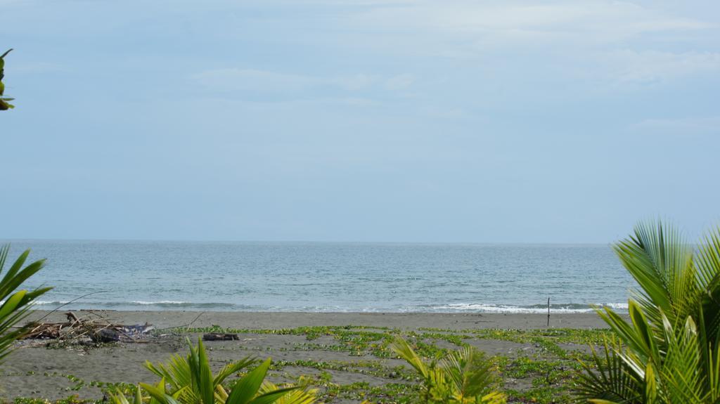 Lirio Lodge Barra de Pacuare Kültér fotó