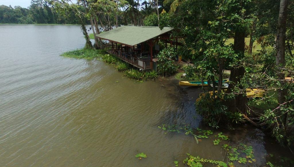 Lirio Lodge Barra de Pacuare Kültér fotó
