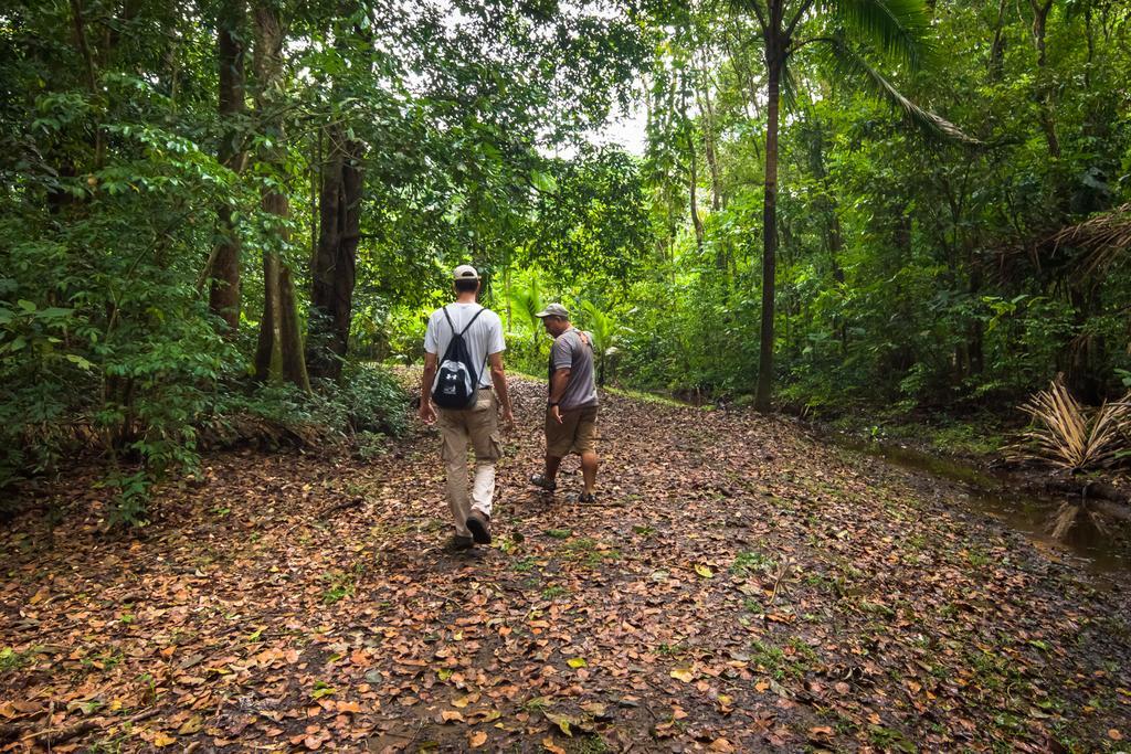 Lirio Lodge Barra de Pacuare Kültér fotó