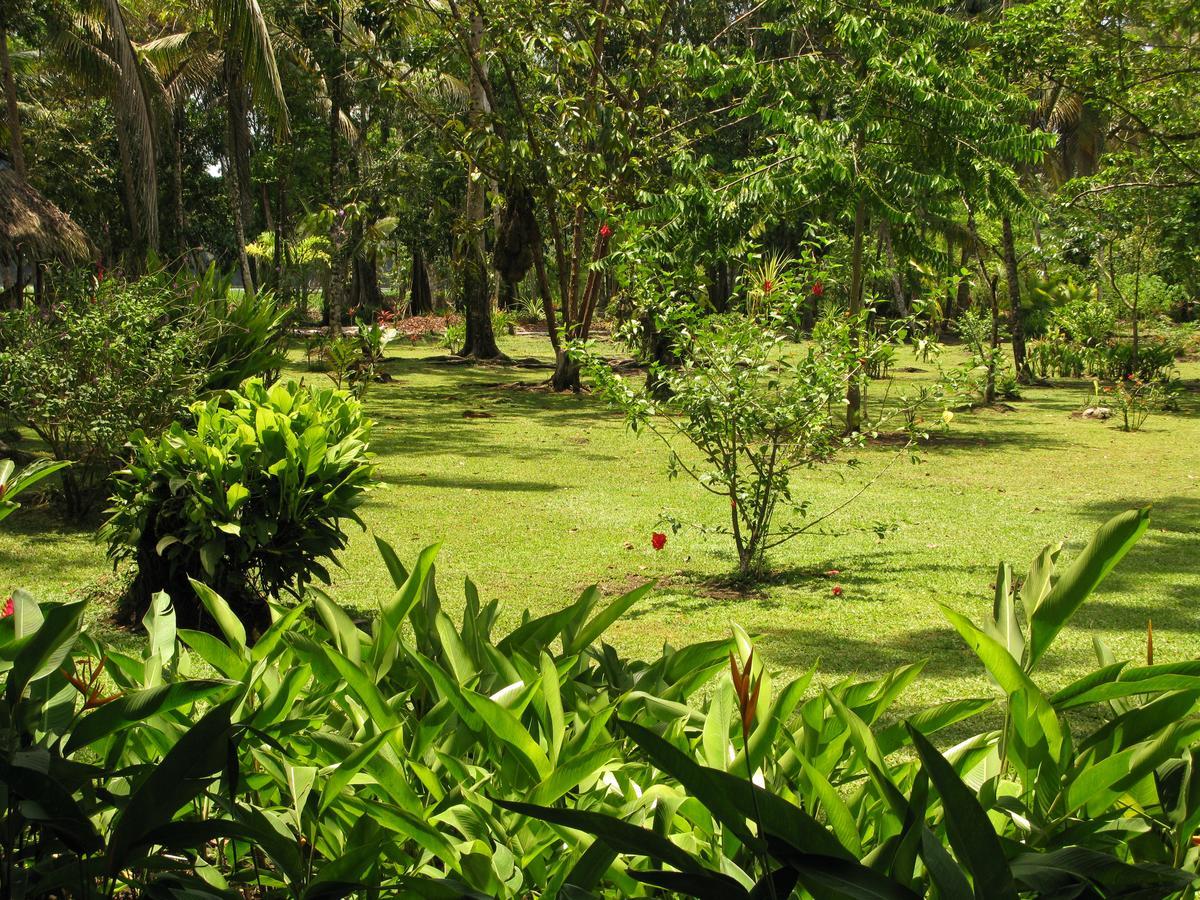 Lirio Lodge Barra de Pacuare Kültér fotó