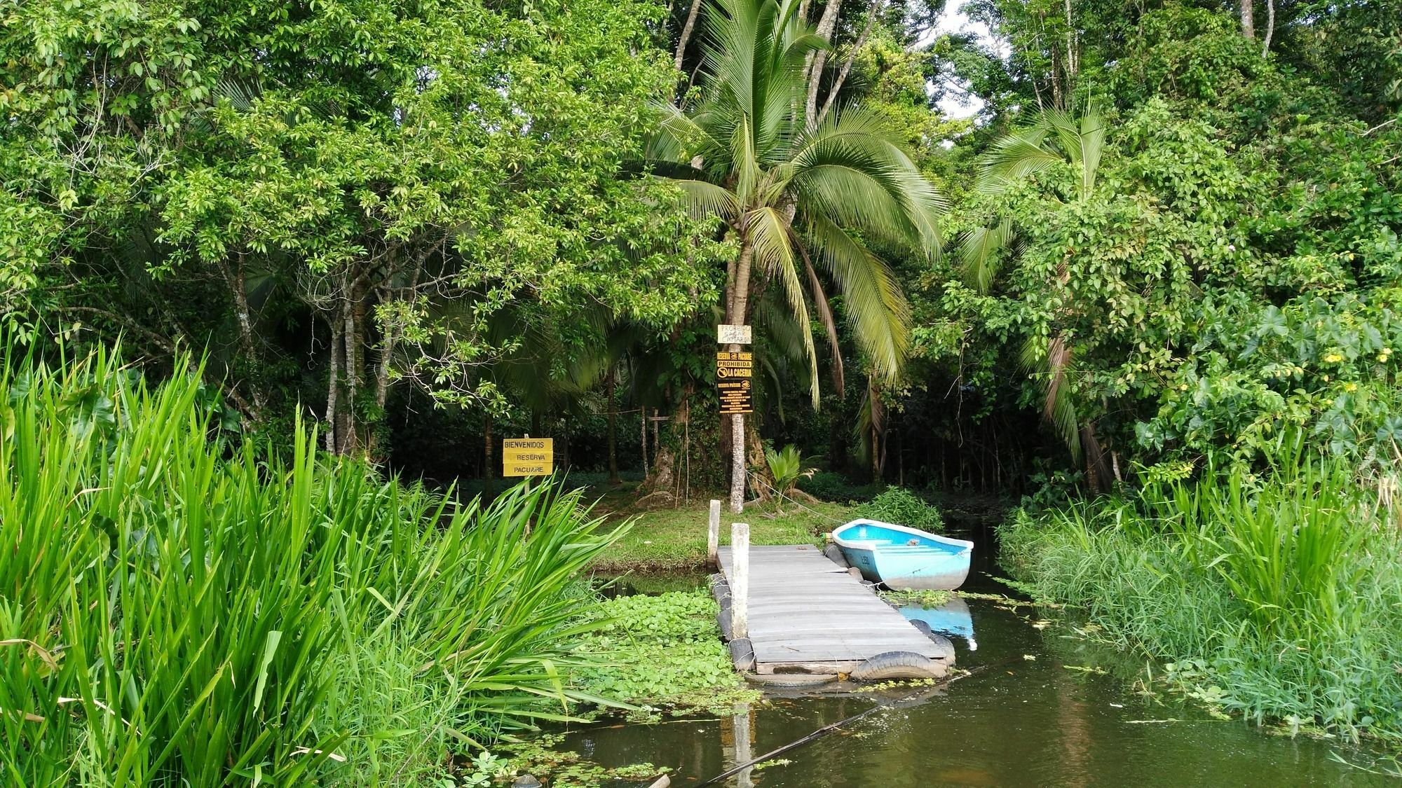 Lirio Lodge Barra de Pacuare Kültér fotó