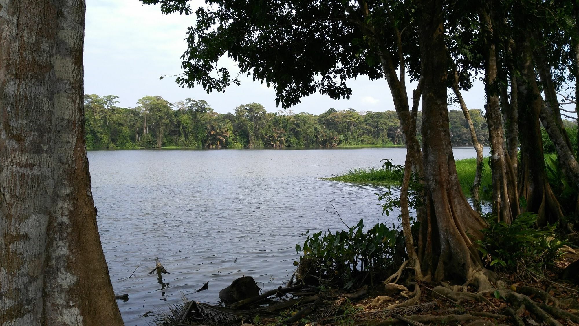 Lirio Lodge Barra de Pacuare Kültér fotó