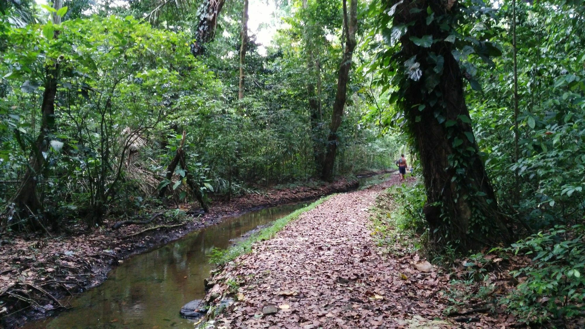 Lirio Lodge Barra de Pacuare Kültér fotó