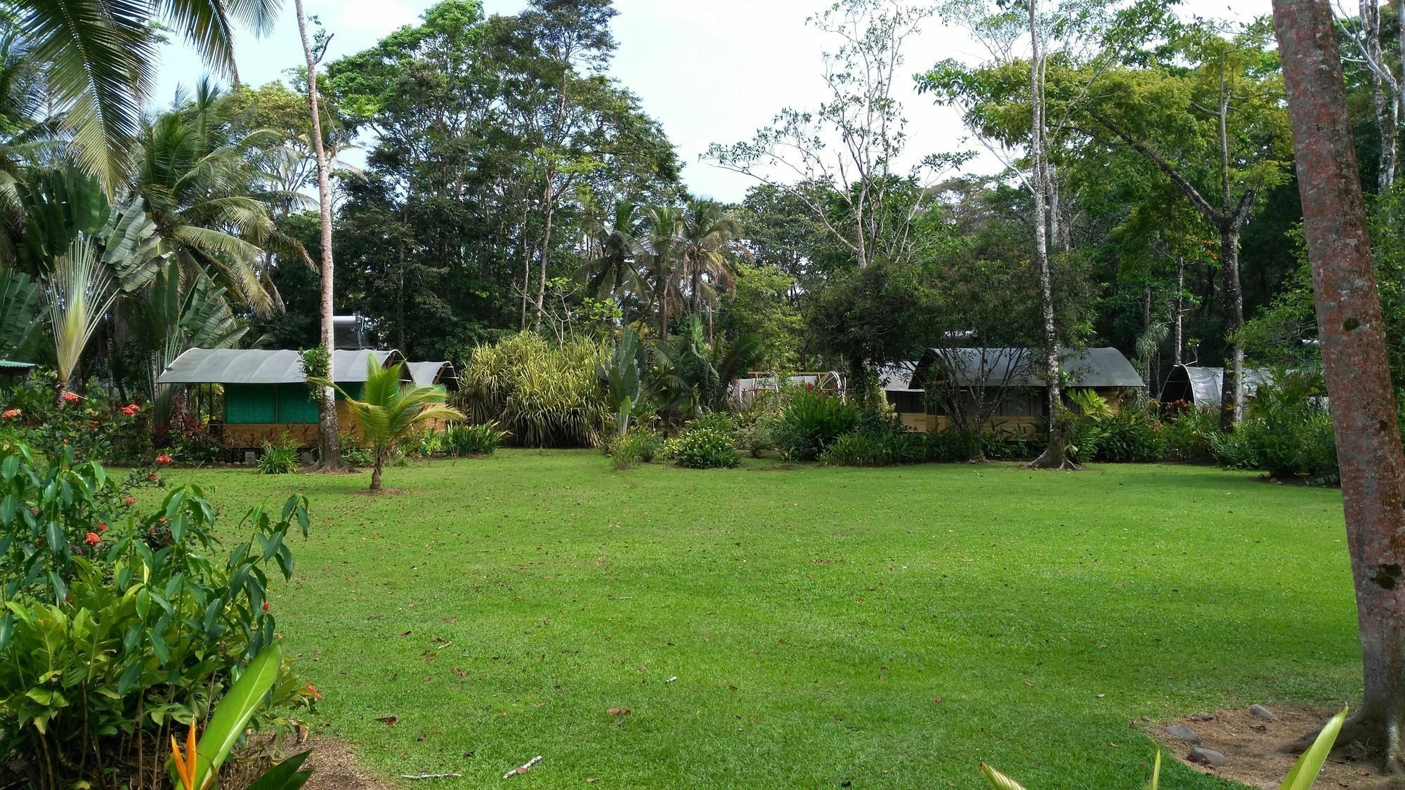 Lirio Lodge Barra de Pacuare Kültér fotó