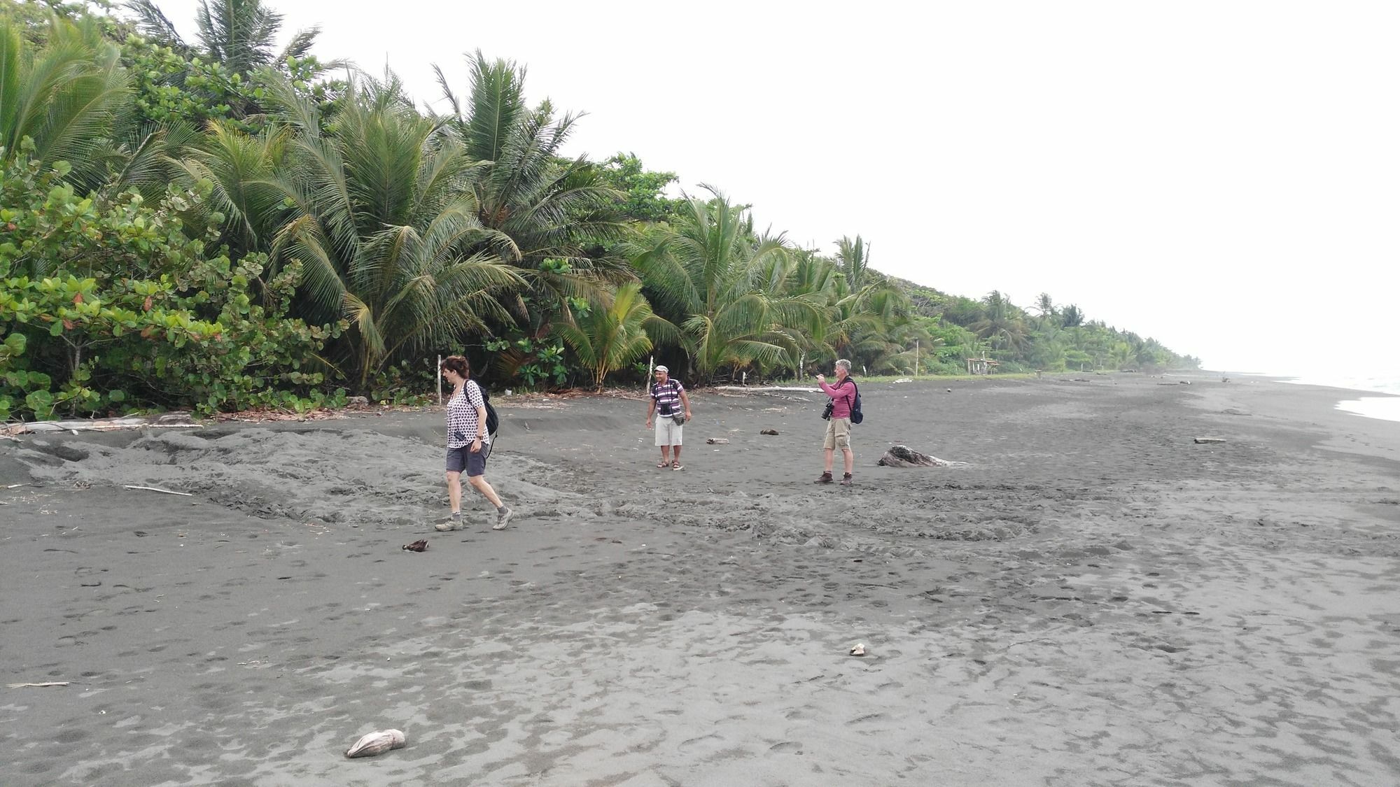 Lirio Lodge Barra de Pacuare Kültér fotó