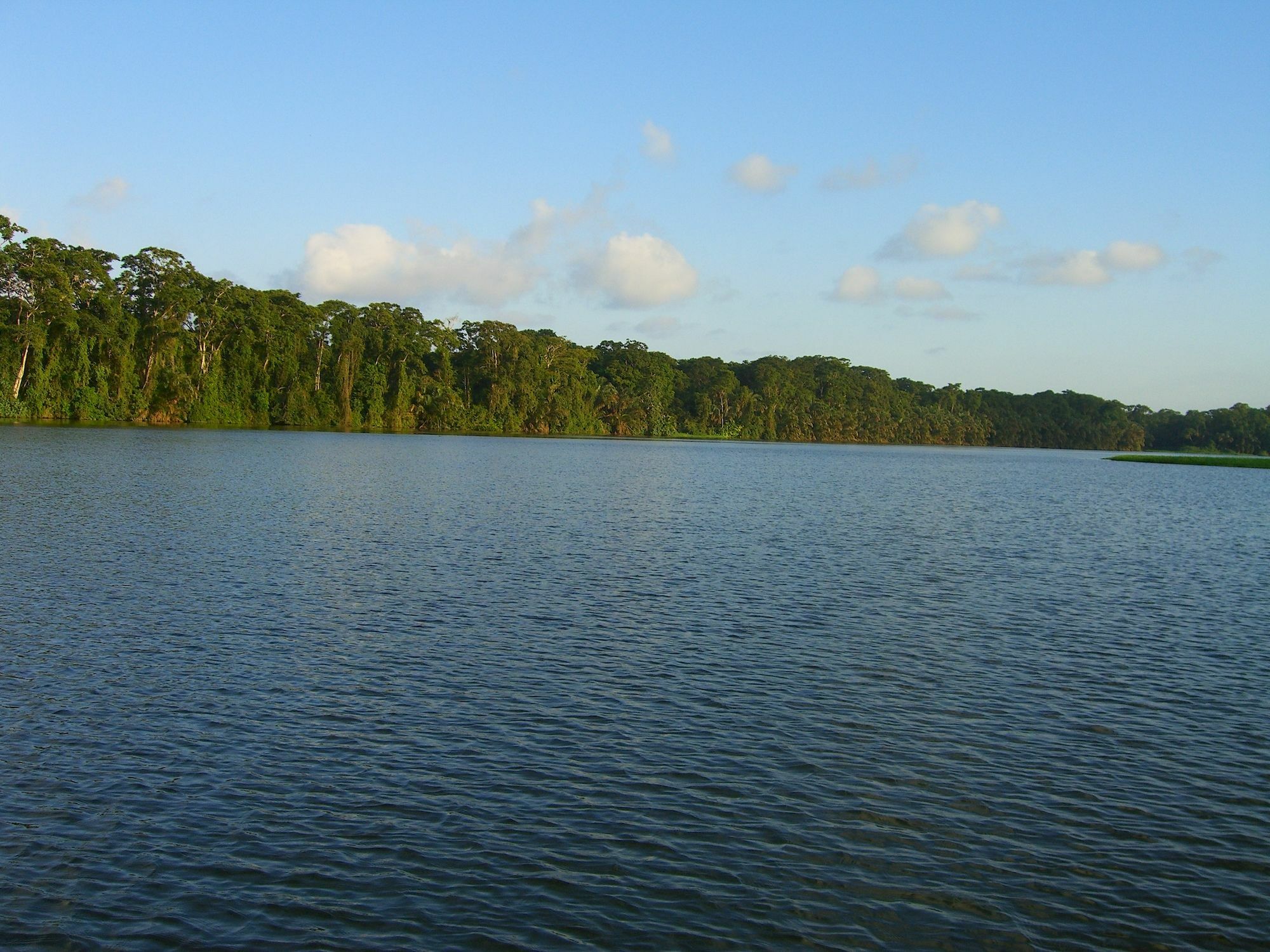 Lirio Lodge Barra de Pacuare Kültér fotó