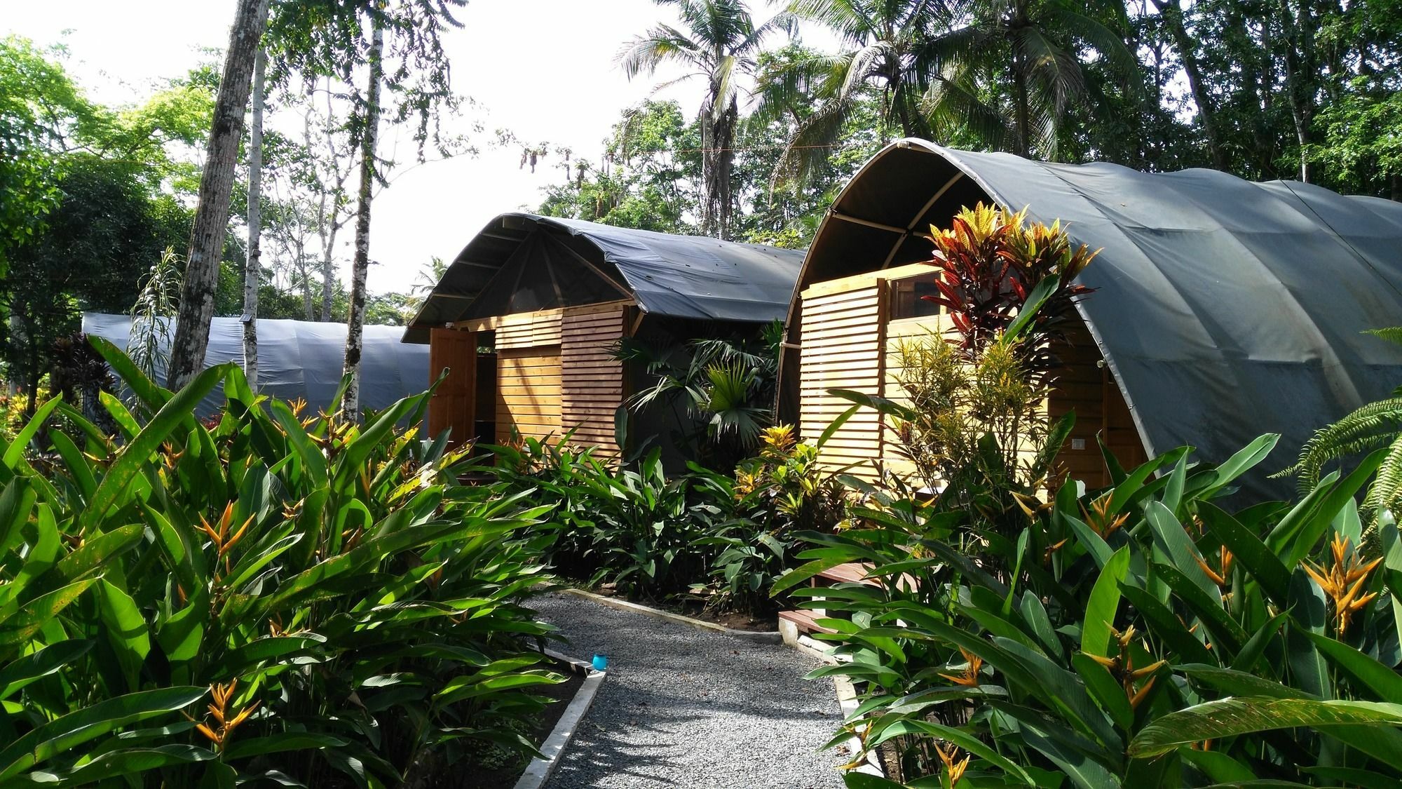 Lirio Lodge Barra de Pacuare Kültér fotó