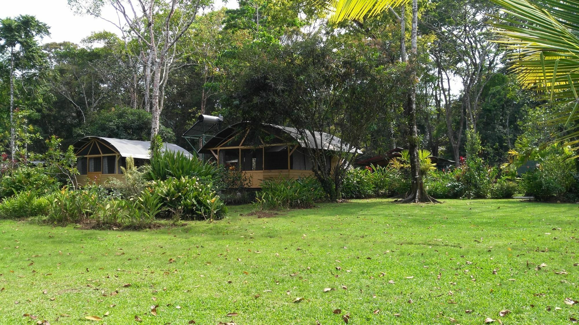 Lirio Lodge Barra de Pacuare Kültér fotó