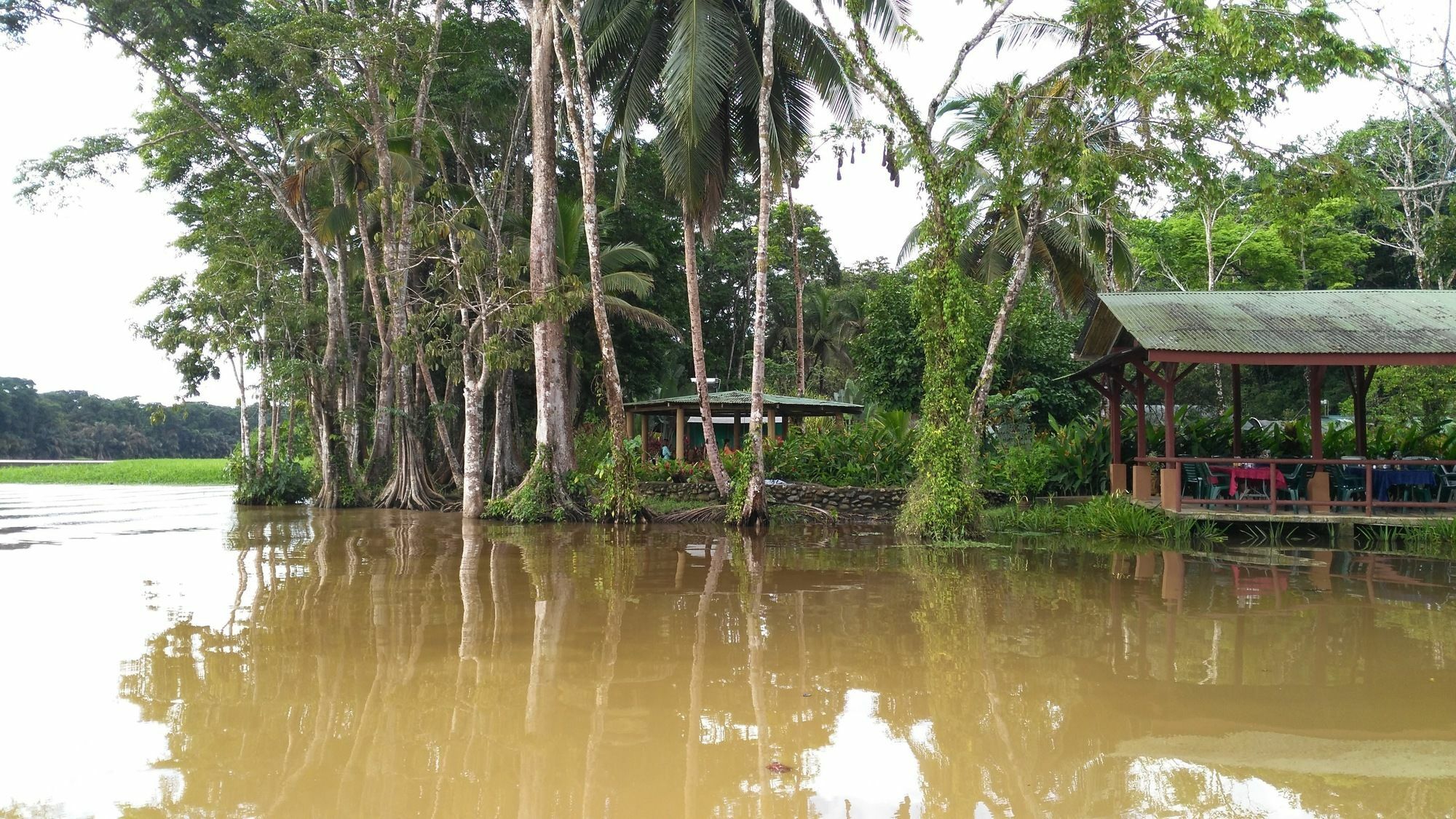 Lirio Lodge Barra de Pacuare Kültér fotó