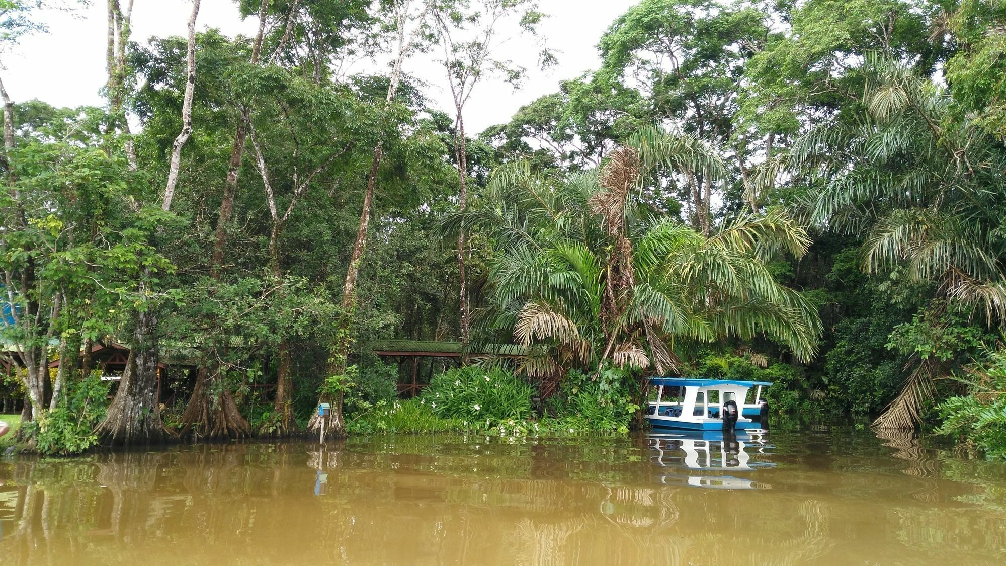 Lirio Lodge Barra de Pacuare Kültér fotó