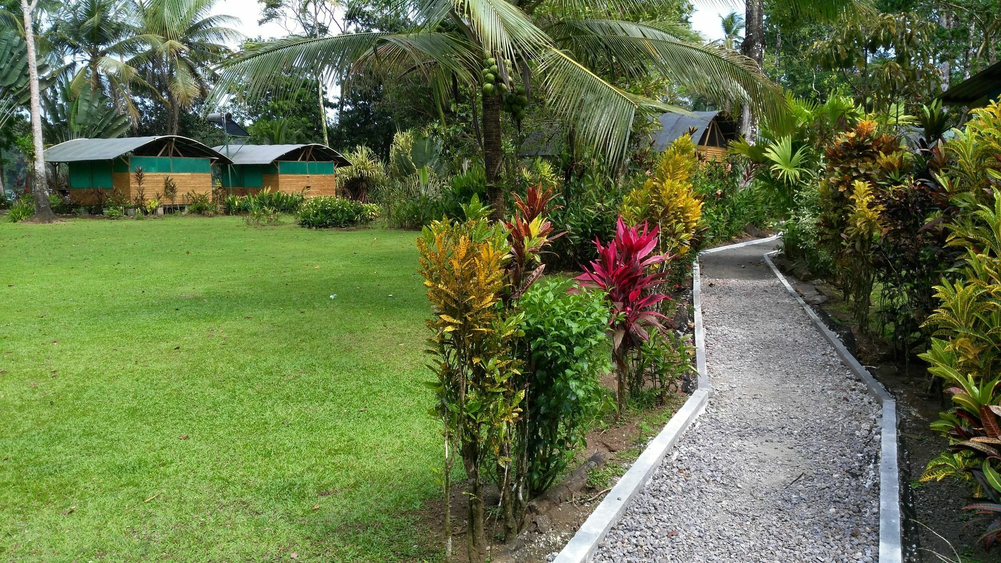 Lirio Lodge Barra de Pacuare Kültér fotó