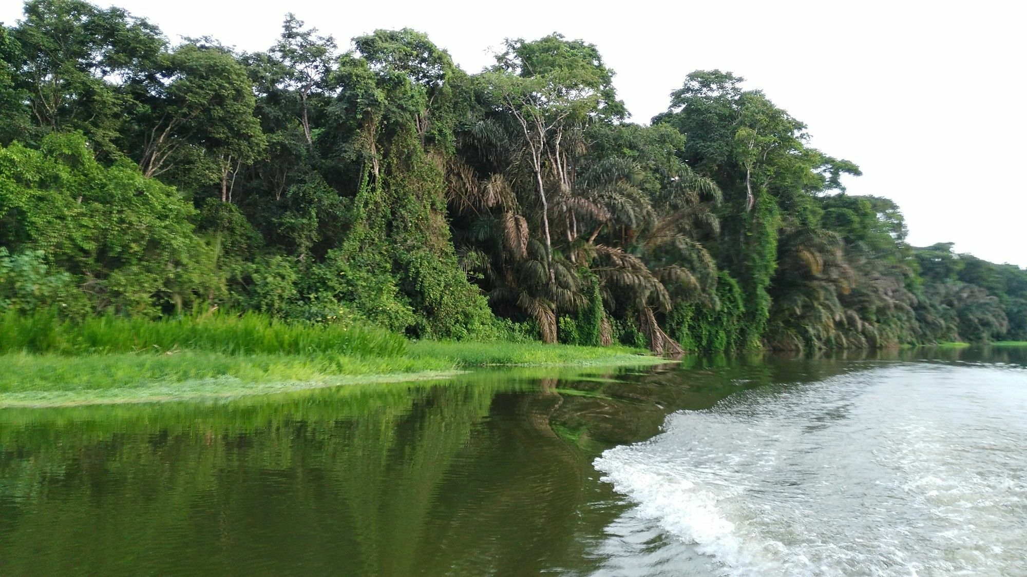 Lirio Lodge Barra de Pacuare Kültér fotó